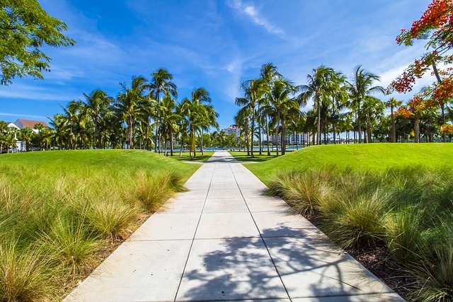 Hawaii photo