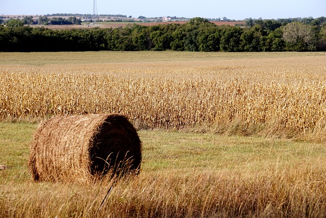 Kansas photo