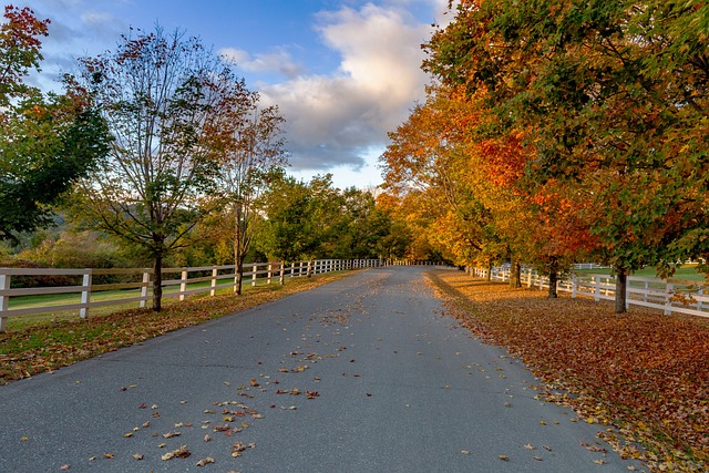 Vermont photo