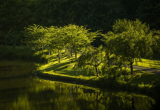 Virginia photo