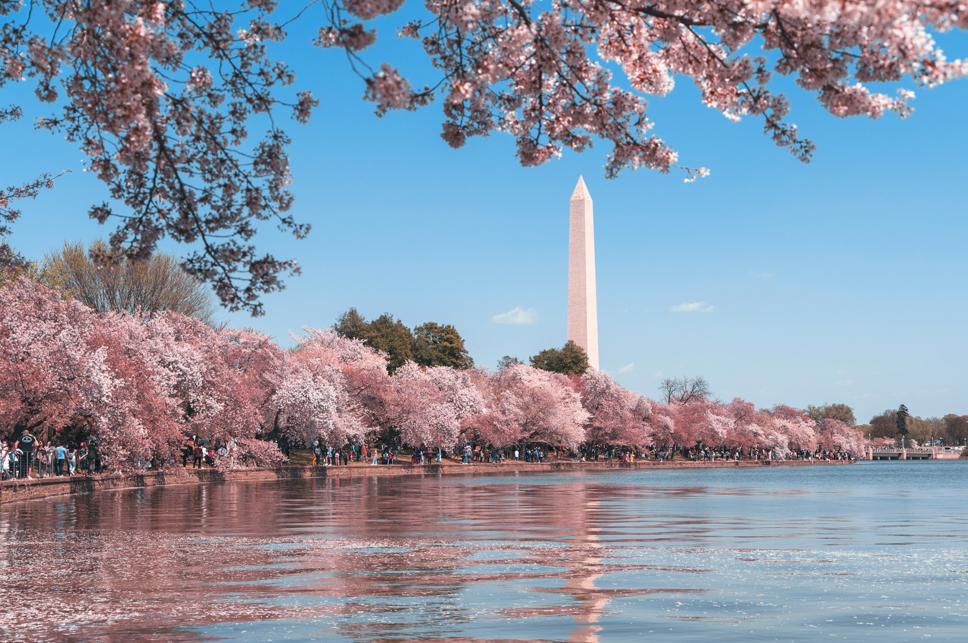 D.C. photo