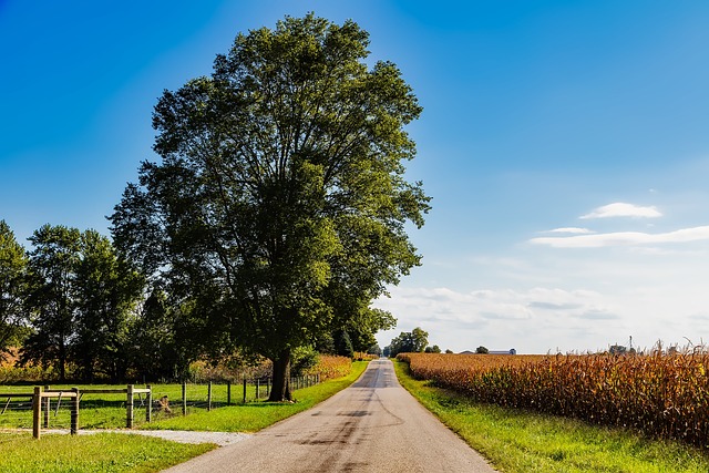 Indiana photo