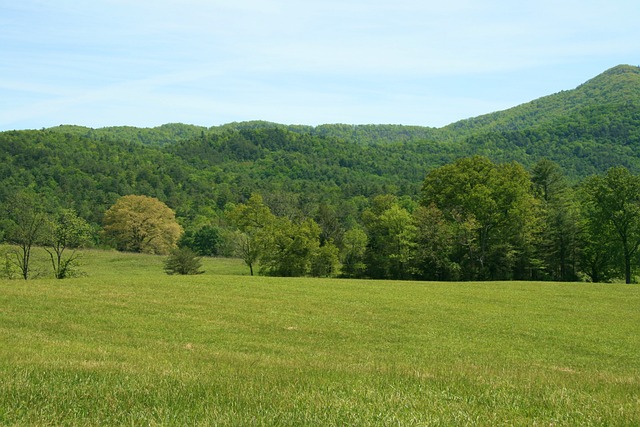 Tennessee photo