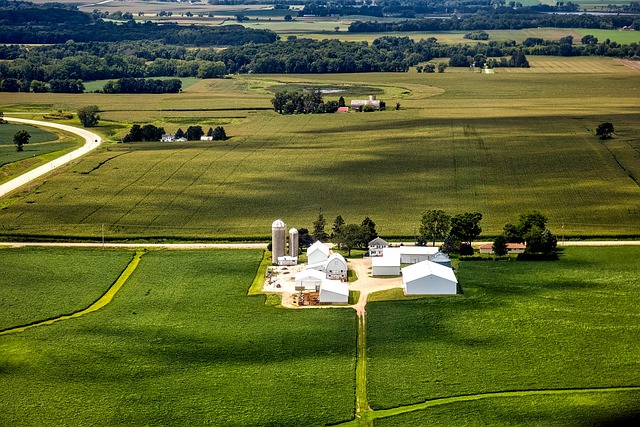 Wisconsin photo